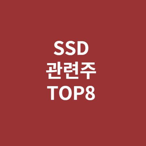 SSD 관련주 TOP8