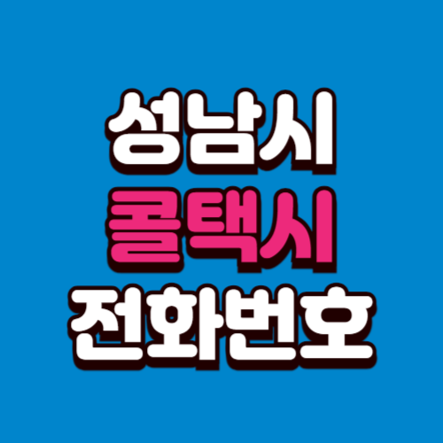 성남시 콜택시 비용 부르는 법 예약 전화번호