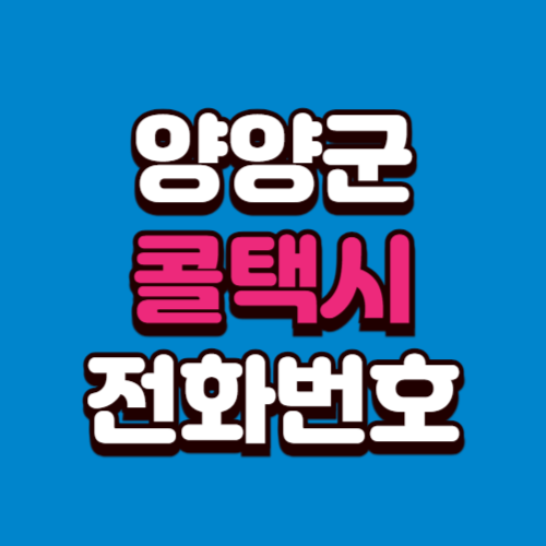 양양군 콜택시 비용 부르는 법 예약 전화번호