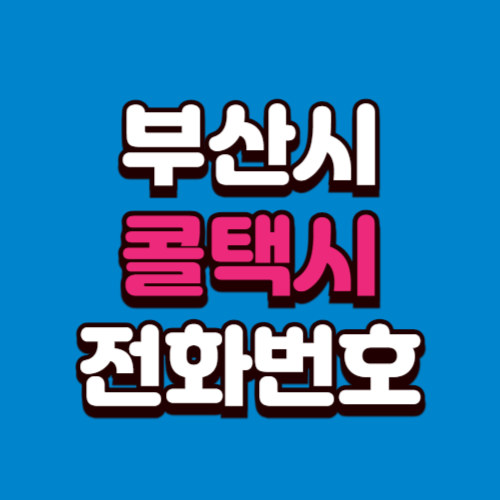 부산시 콜택시 비용 부르는 법 예약 전화번호