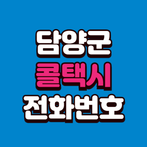 담양군 콜택시 비용 부르는 법 예약 전화번호