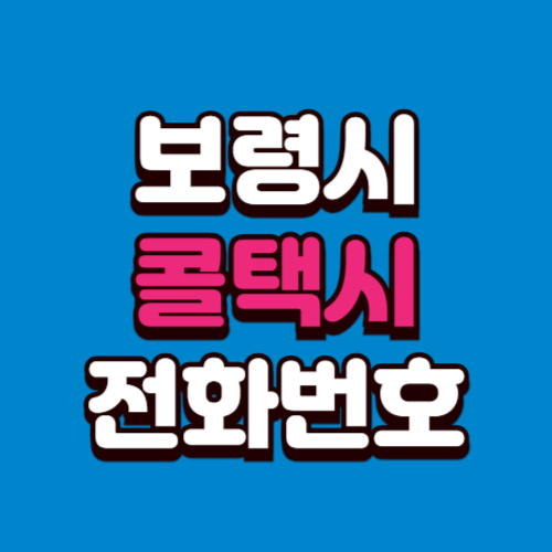 보령시 콜택시 비용 부르는 법 예약 전화번호